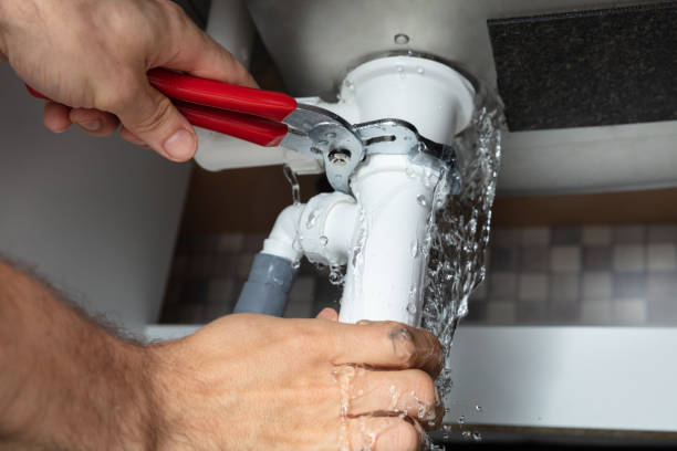 Best Mold removal after water damage  in Sargent, TX