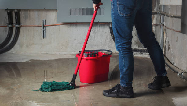 Best Fire Damage Restoration  in Sargent, TX