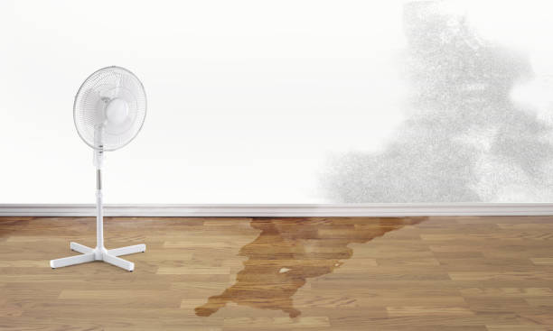 Sargent, TX Water damage restoration Company