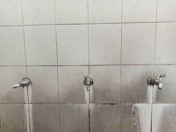Best Sewage cleanup and water damage restoration  in Sargent, TX