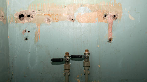 Best Flooded house restoration  in Sargent, TX