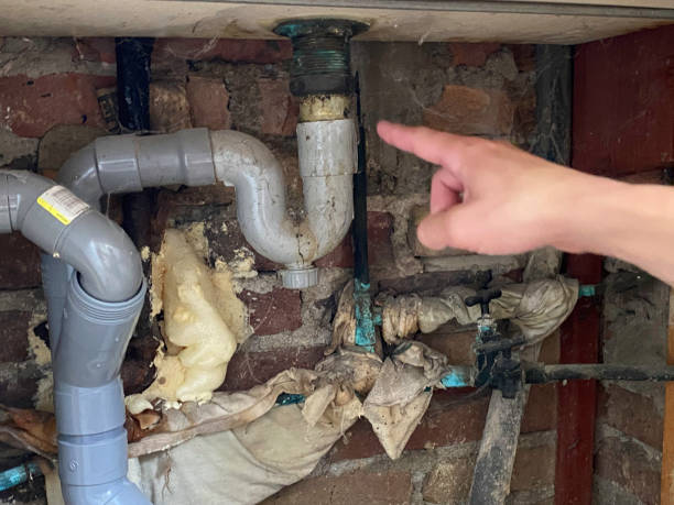 Best Water damage contractors near me  in Sargent, TX